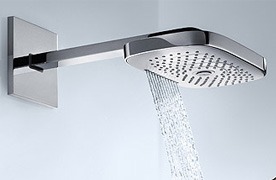 Accessories & Plumbing Fixtures Shower Head