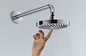 Gilmans Kitchens and Baths Silver Shower Head